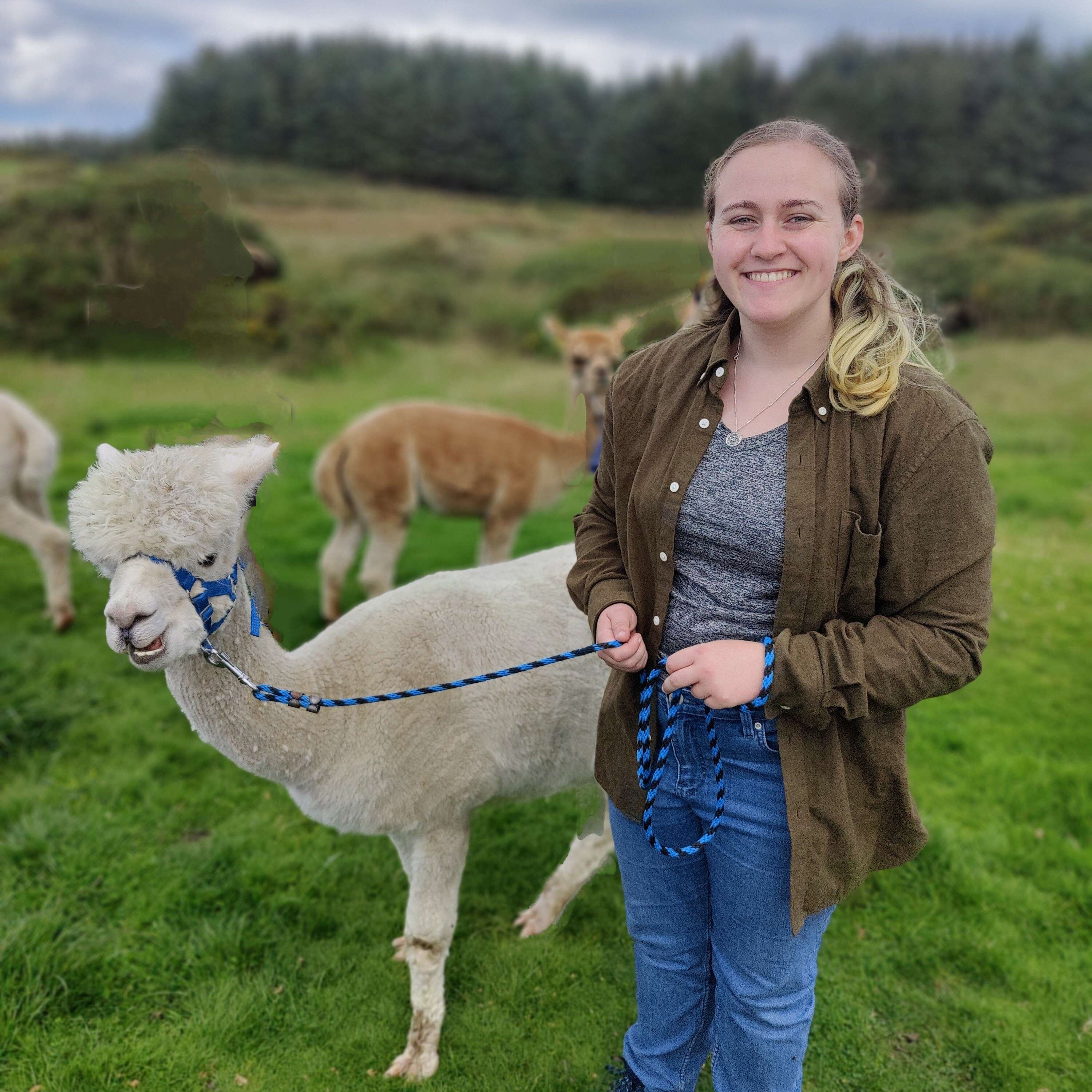 Image of Claire Gregg leading an alpaca.